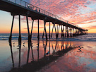Beaches and Piers